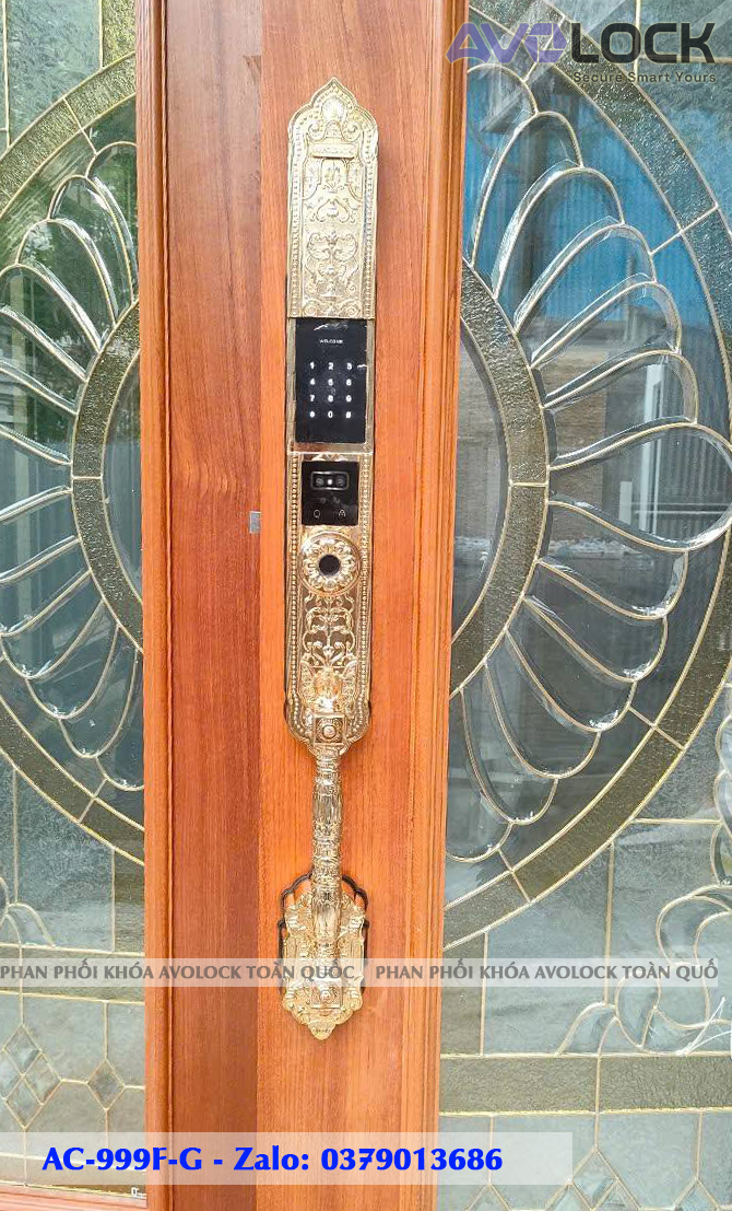 Khóa Avolock AC-999F-G lắp đặt thực tế trên cửa gỗ - mặt trước